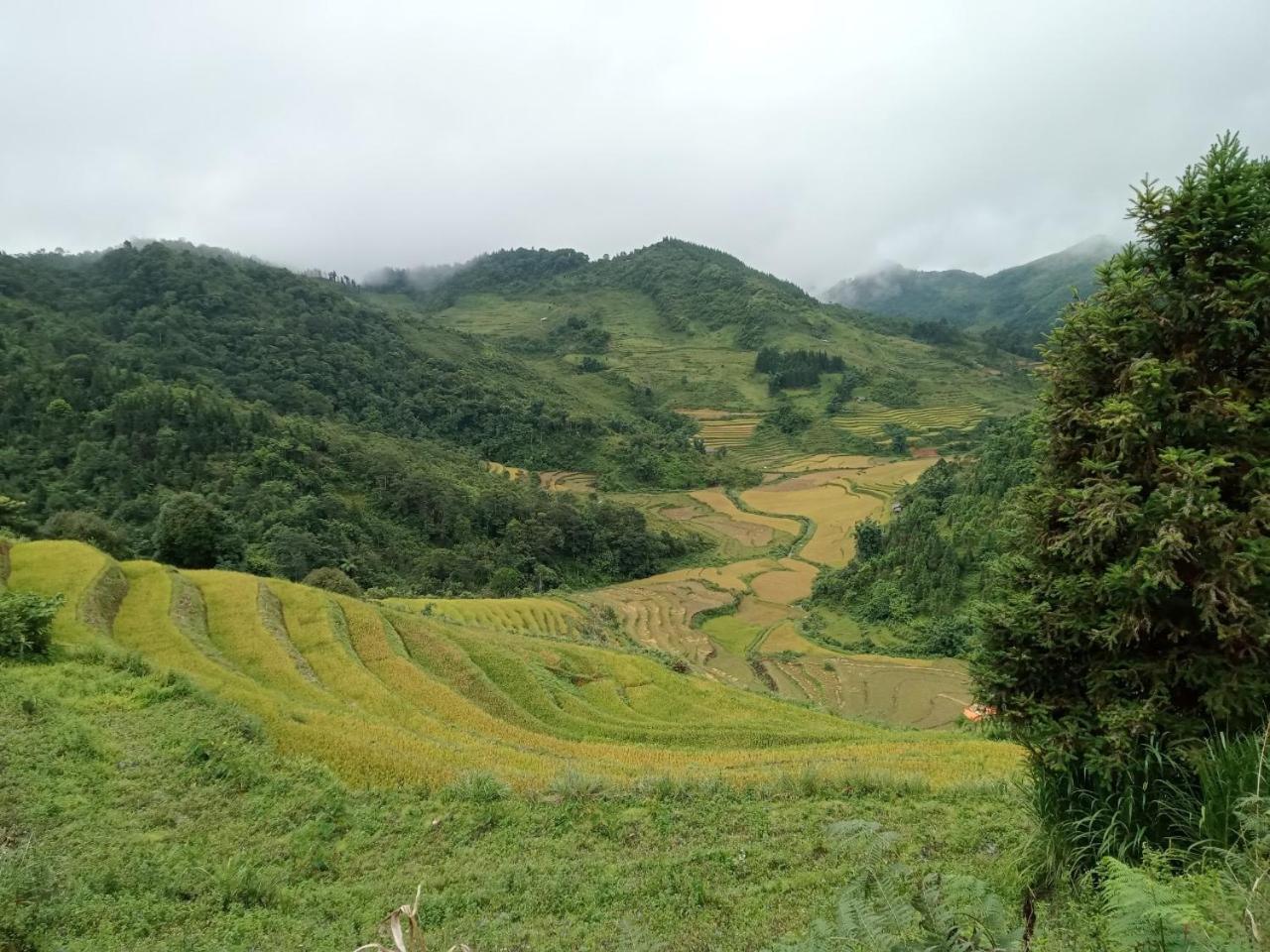 Bac Ha Charm Stay ภายนอก รูปภาพ