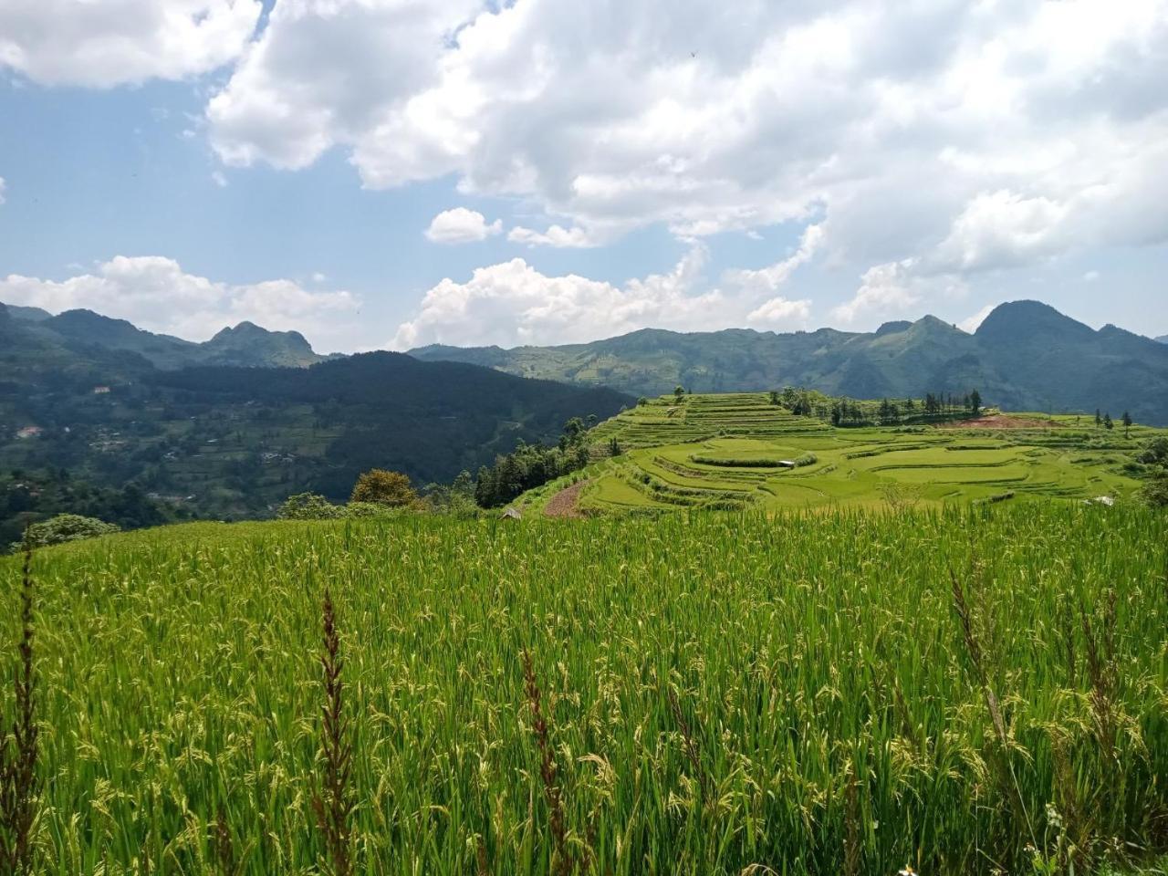 Bac Ha Charm Stay ภายนอก รูปภาพ