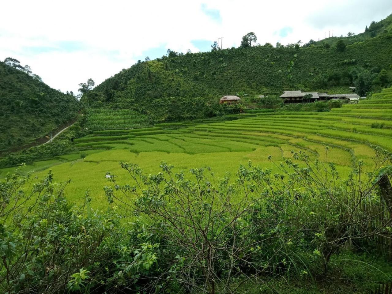 Bac Ha Charm Stay ภายนอก รูปภาพ