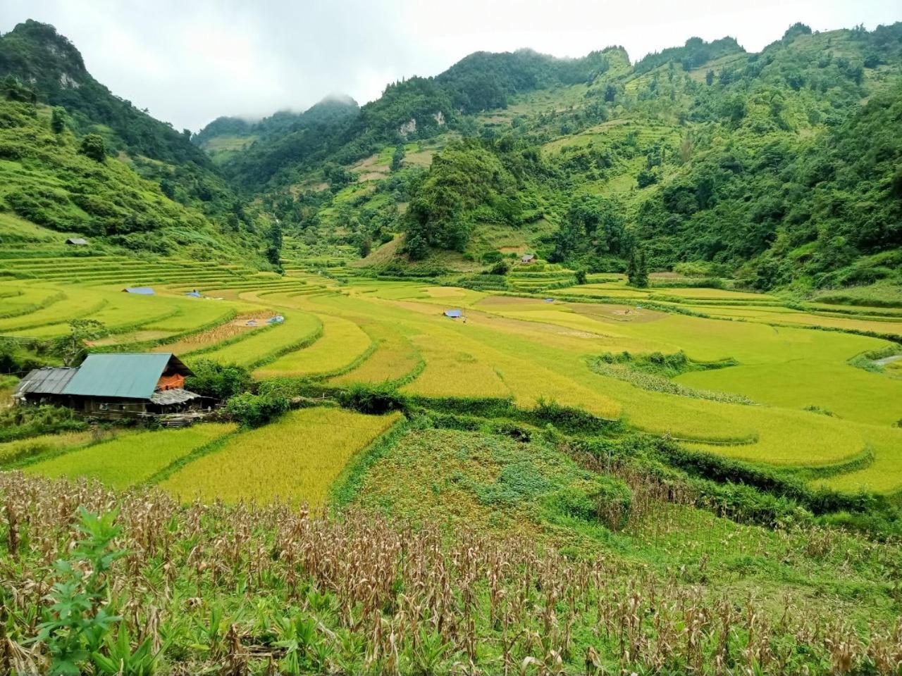 Bac Ha Charm Stay ภายนอก รูปภาพ