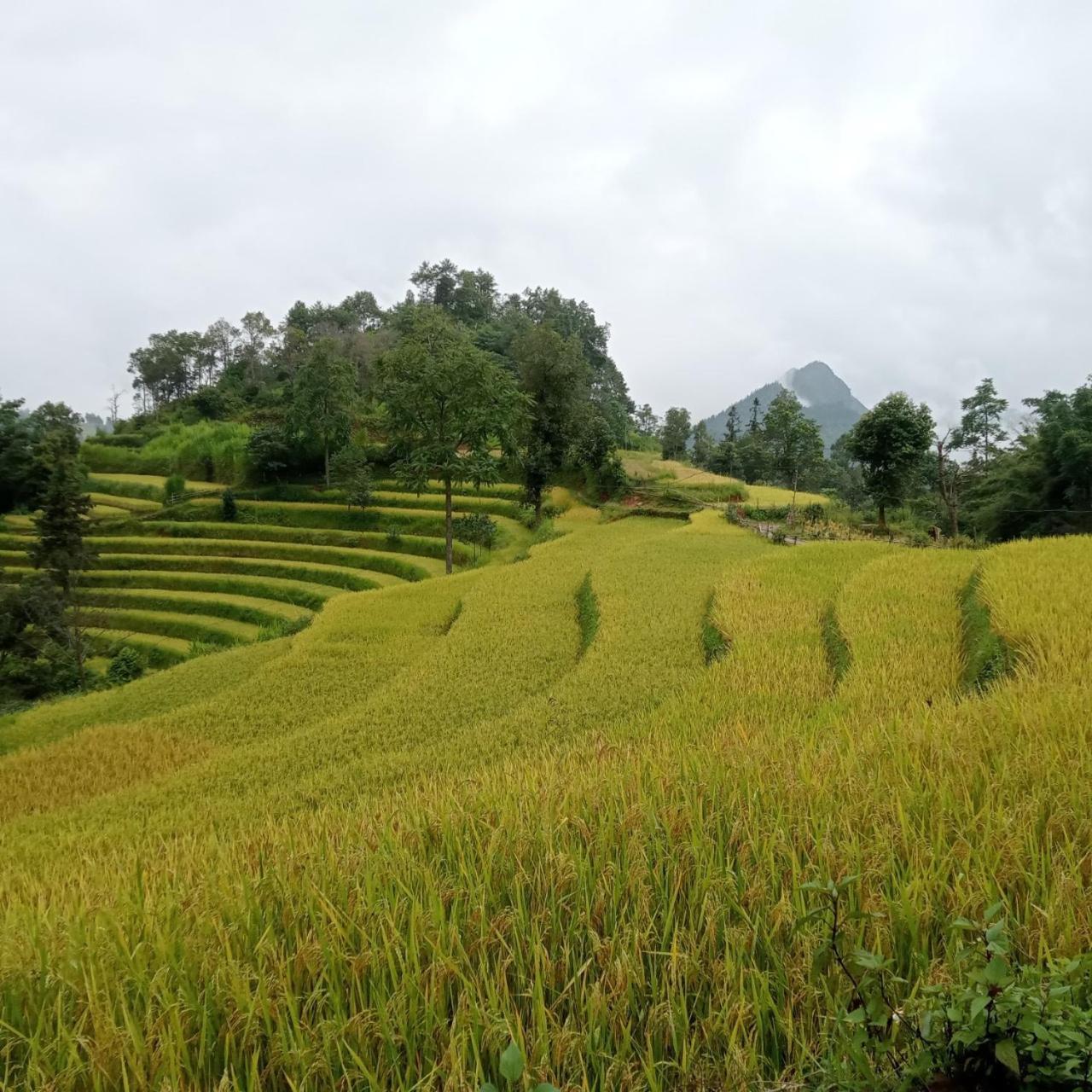 Bac Ha Charm Stay ภายนอก รูปภาพ